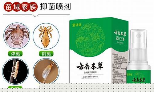 云南本草阴虱-云南本草去虱抑菌液自营