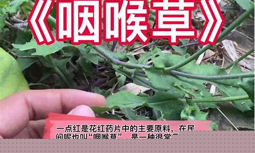 花红抑菌凝胶的用法-花红抑菌液的功效与主治