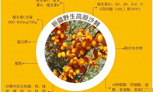 沙棘抑菌液的功效与作用-沙棘抑菌液的功效与作用是什么