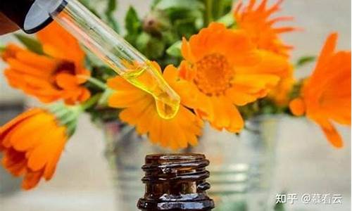 抑菌护肤乳膏有激素吗-护肤成分抑菌液有哪些