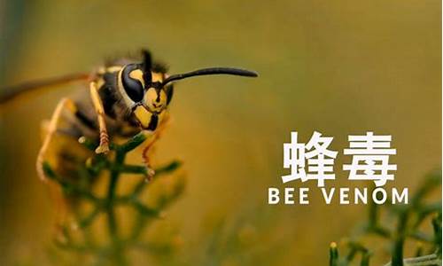 蜂毒抑菌液有什么功效-蜂毒抑菌膏