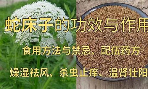 蛇床子抑菌膏作用-蛇床子抑菌液的功效