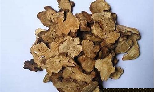 白术抑菌液的功效与作用-白术抑菌液的功效与作用及禁忌