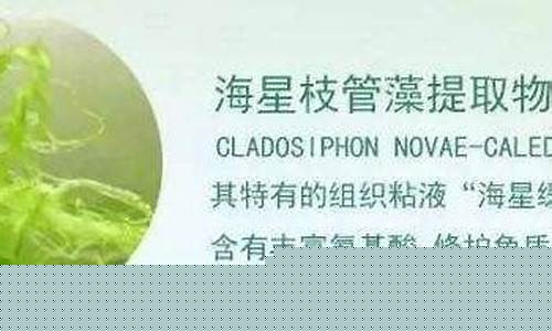 海星枝管藻的护肤-海星枝管藻抑菌液成分