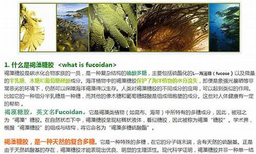 海星枝管藻抑菌液成分-海星枝管藻修复液