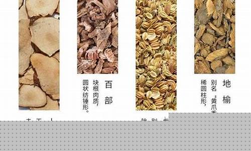 草本抑菌液可以治疗痤疮-草本抑菌液功能主治