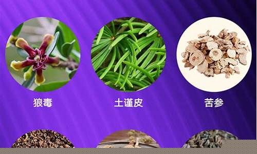 参地狼毒抑菌液的作用-参地狼毒抑菌液功效