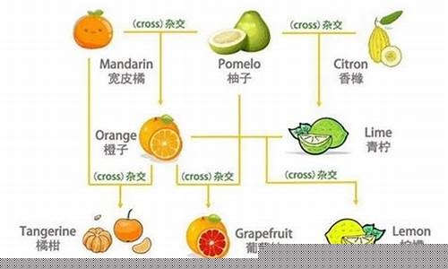 柑橘抑菌液是啥成分-柑橘杀菌剂哪些牌子最好