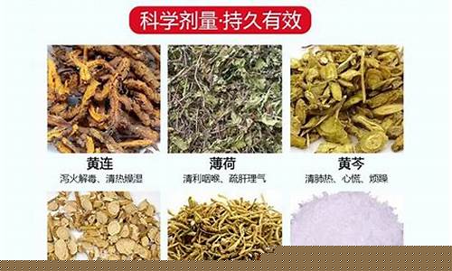 黄连抑菌液制作过程-黄连抑菌液制作过程