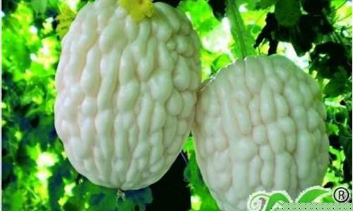 苦瓜抑菌液功效作用-苦瓜抑菌液功效作用是什么