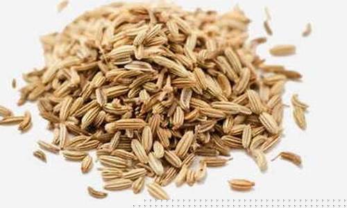 小茴香治疗什么病-小茴香通窍抑菌液的功效