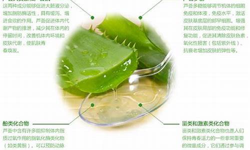 芦荟抑菌液功效与作用-芦荟抑菌液可以涂脸吗