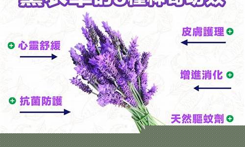 神奇七草薰衣草草本抑菌液-神奇七草是正规产品吗